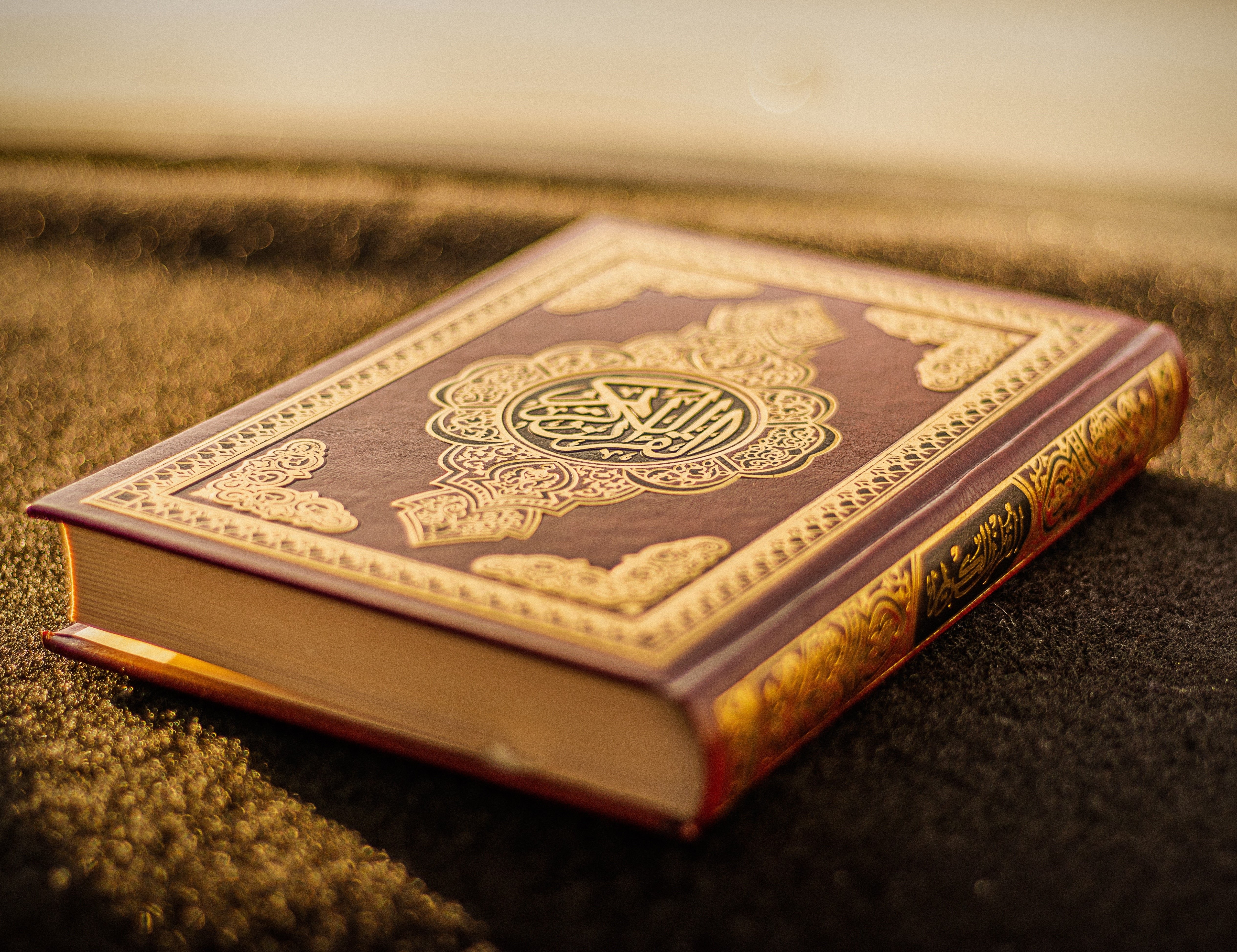 الواقع المكتوب