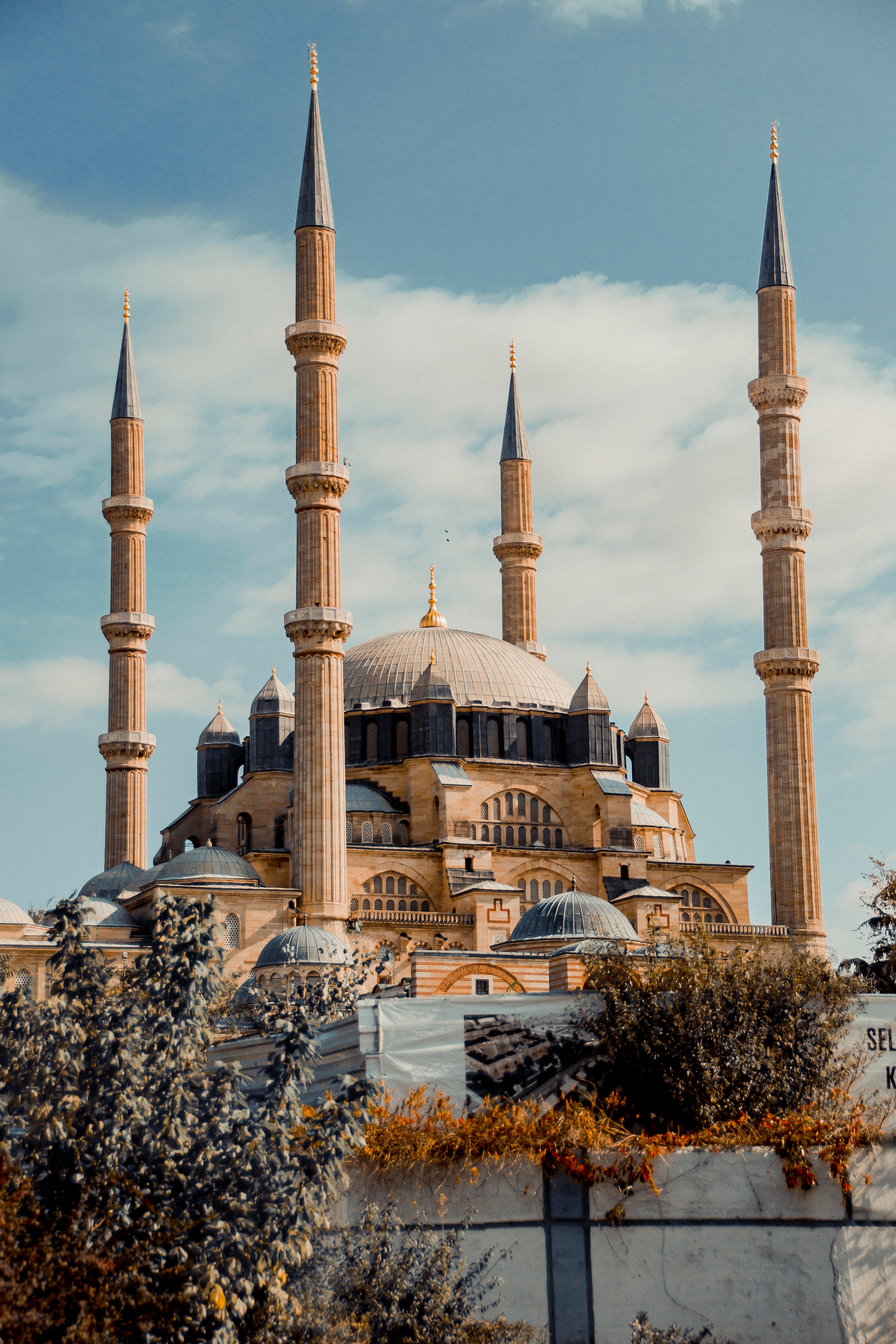 الـرَّصـد: شُـهـودٌ مِـن خـارجِ الـديـار